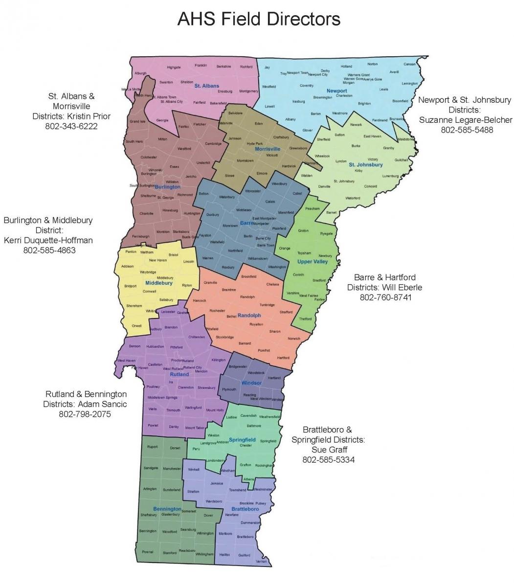 Vermont Map with Counties outlined and colored in different colors. Each county also is broken up into smaller town divisions. 