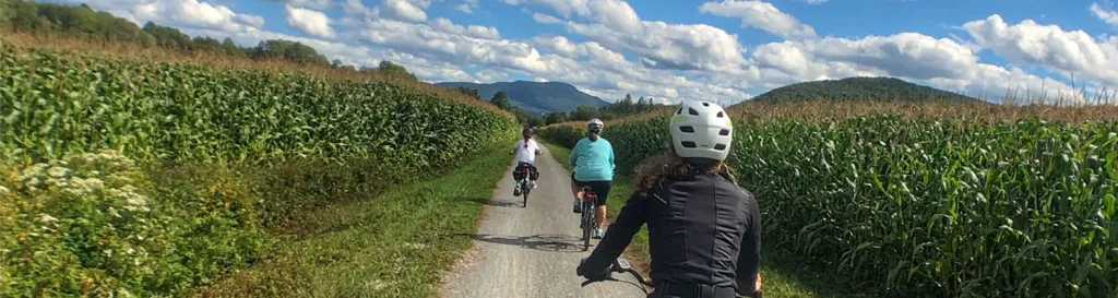 People biking down country road